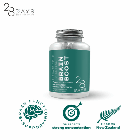 [28Days] 브레인 부스트